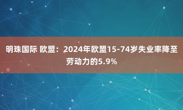 明珠国际 欧盟：2024年欧盟15-74岁失业率降至劳动力的5.9%