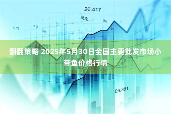 翻翻策略 2025年5月30日全国主要批发市场小带鱼价格行情